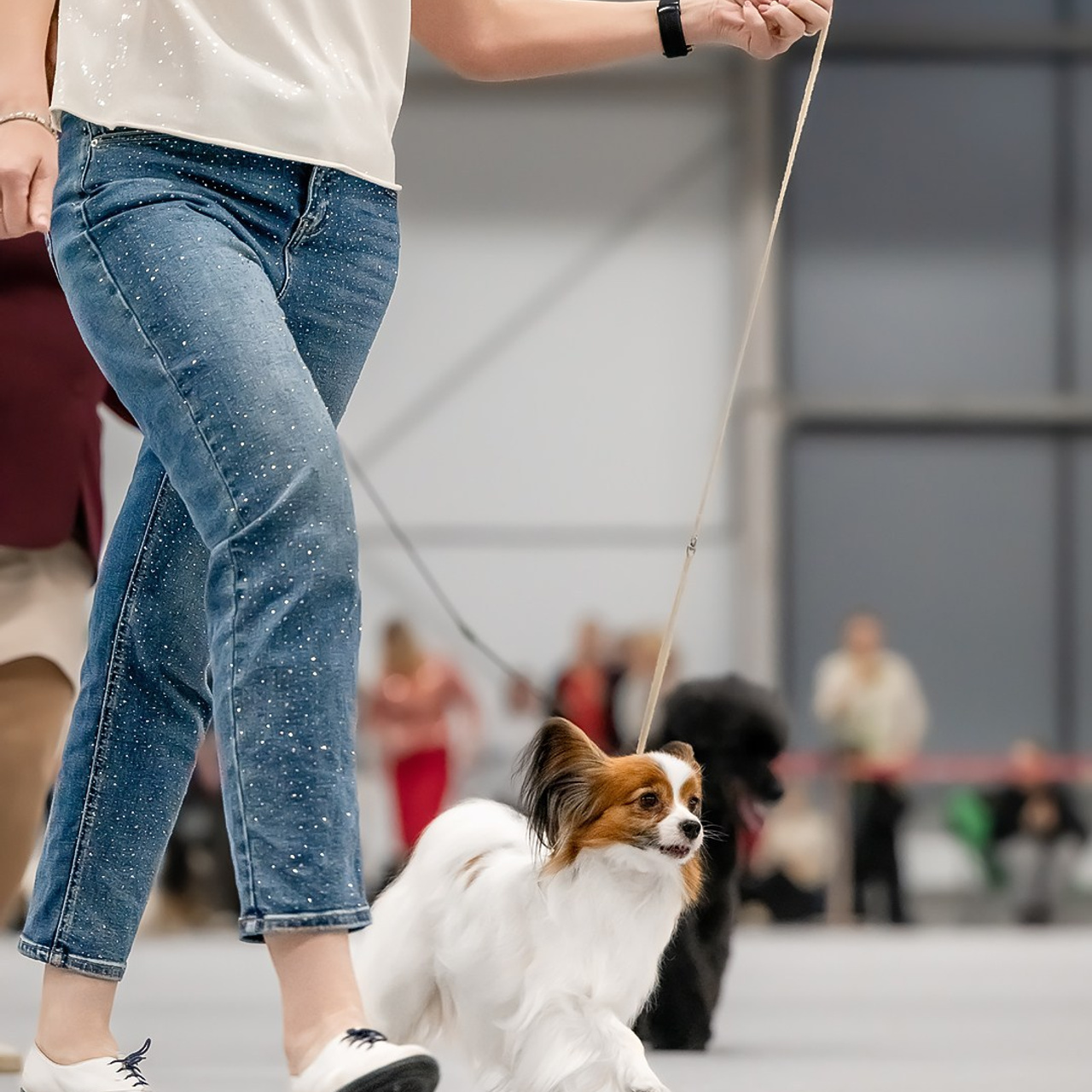 Отзывы. Mouseadikatz