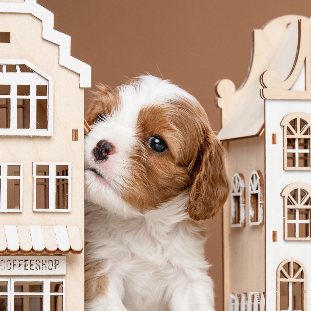 Отзывы. Mouseadikatz