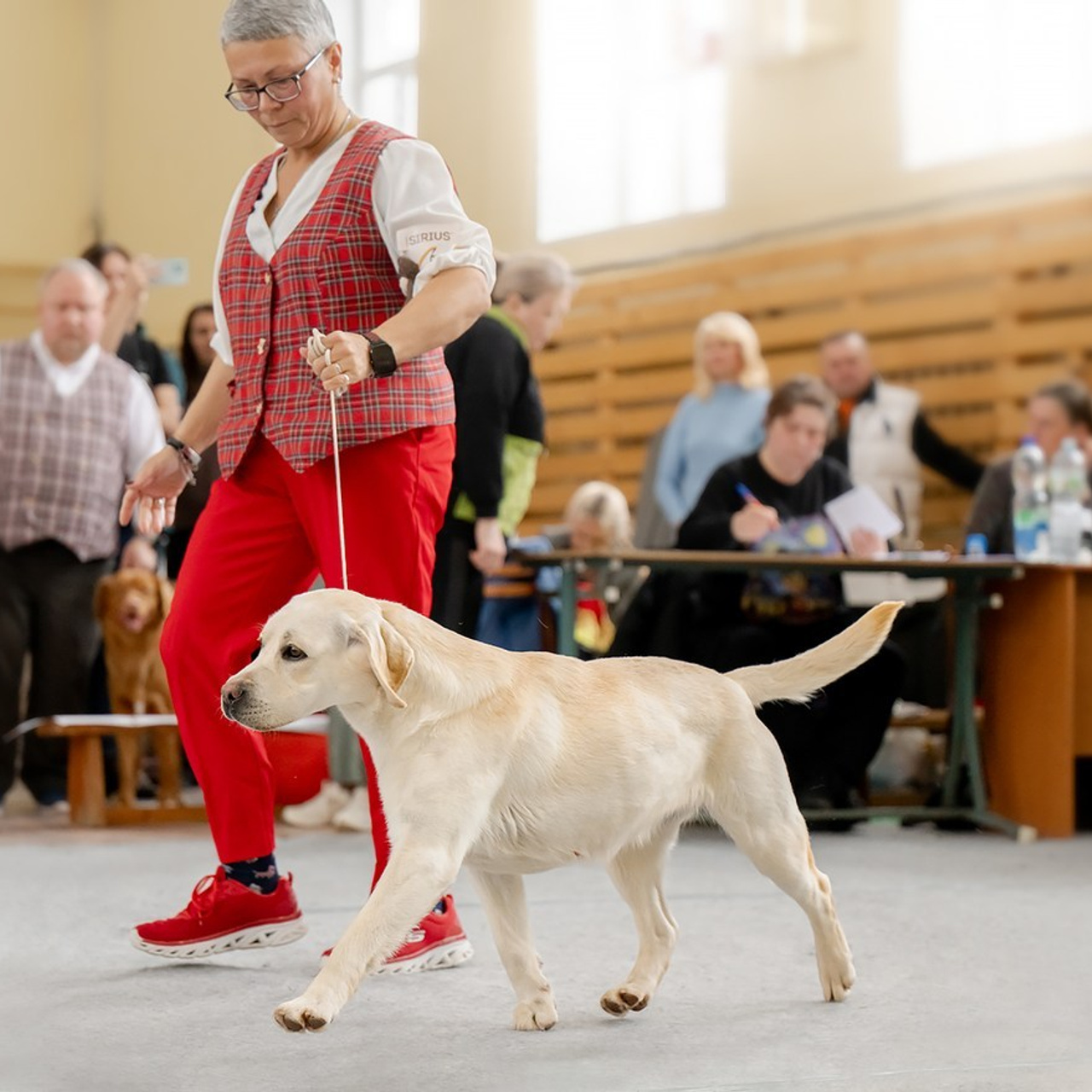 Отзывы. Mouseadikatz