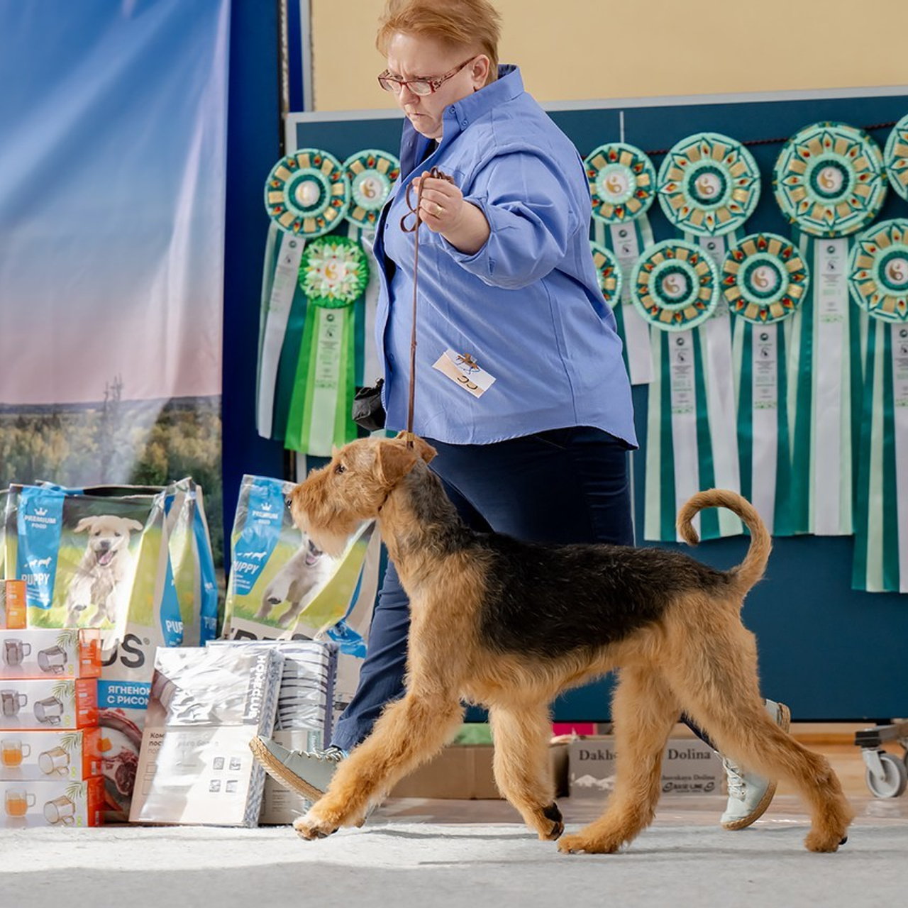 Отзывы. Mouseadikatz