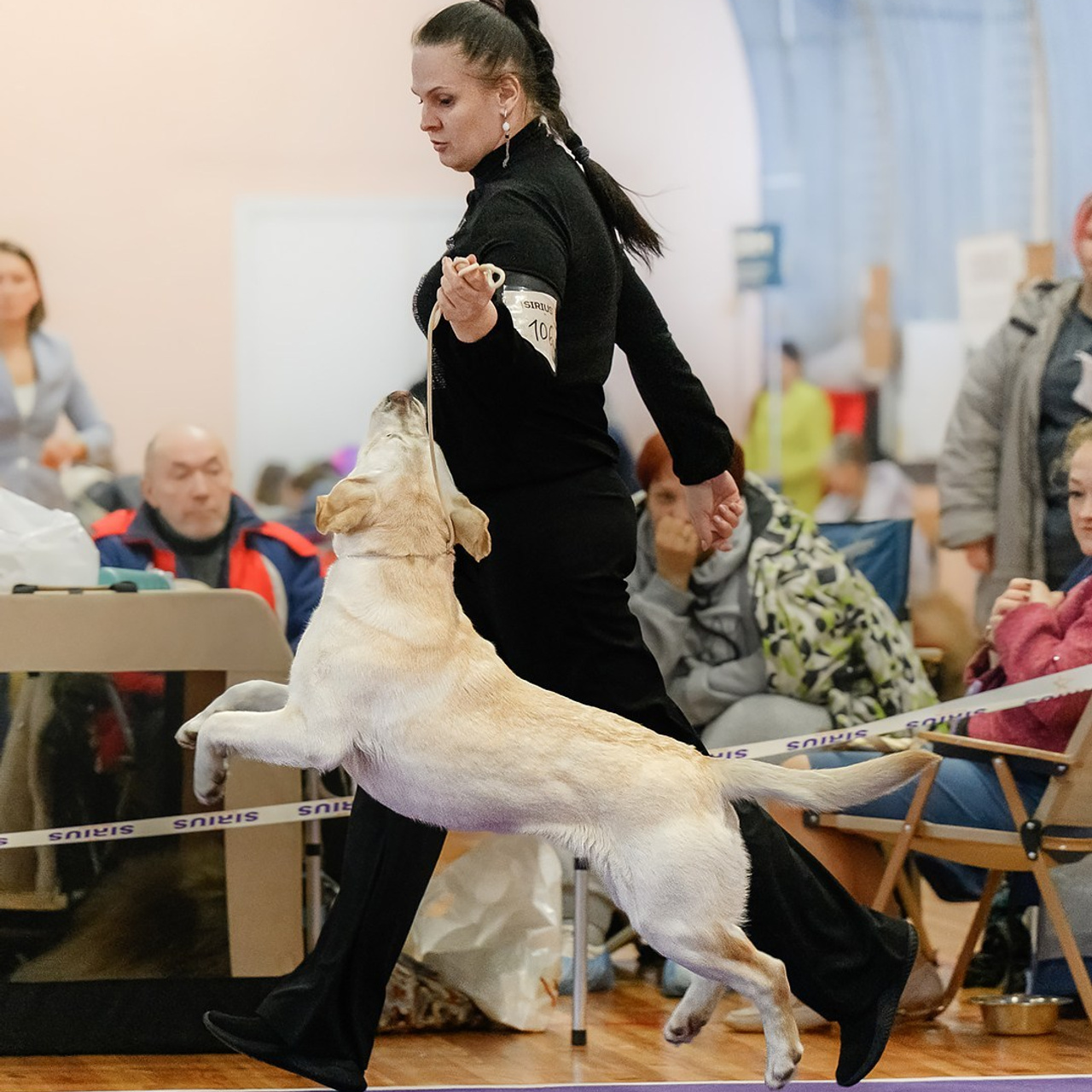 Отзывы. Mouseadikatz