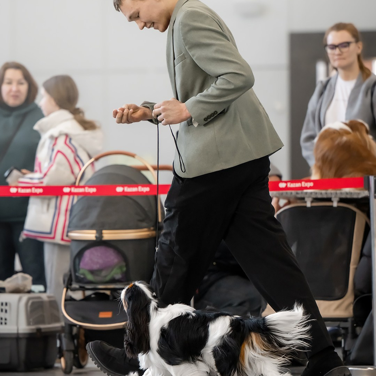 Отзывы. Mouseadikatz