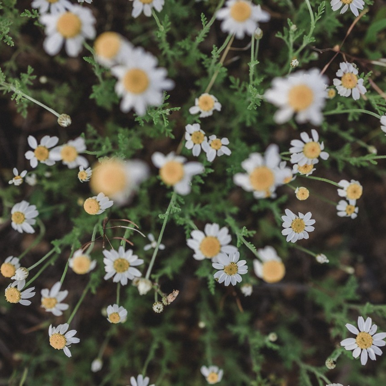 Отзывы. Фотограф Зезюлина Анна