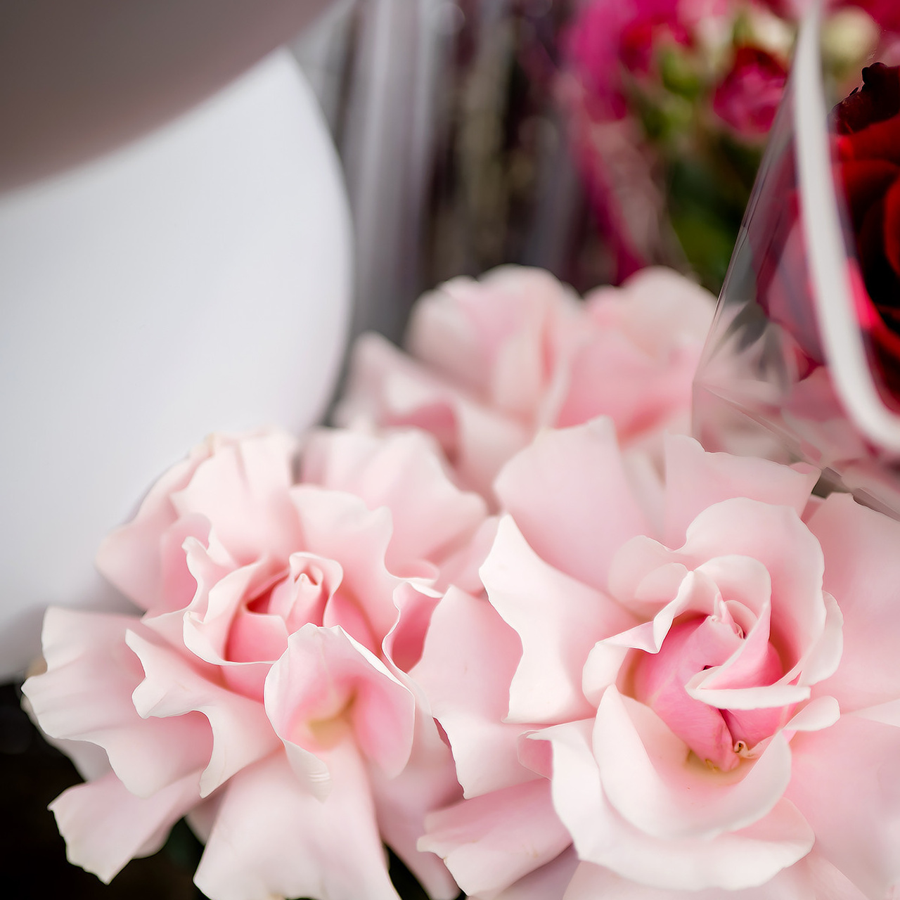 Отзывы. Фотограф Катрина Динкель