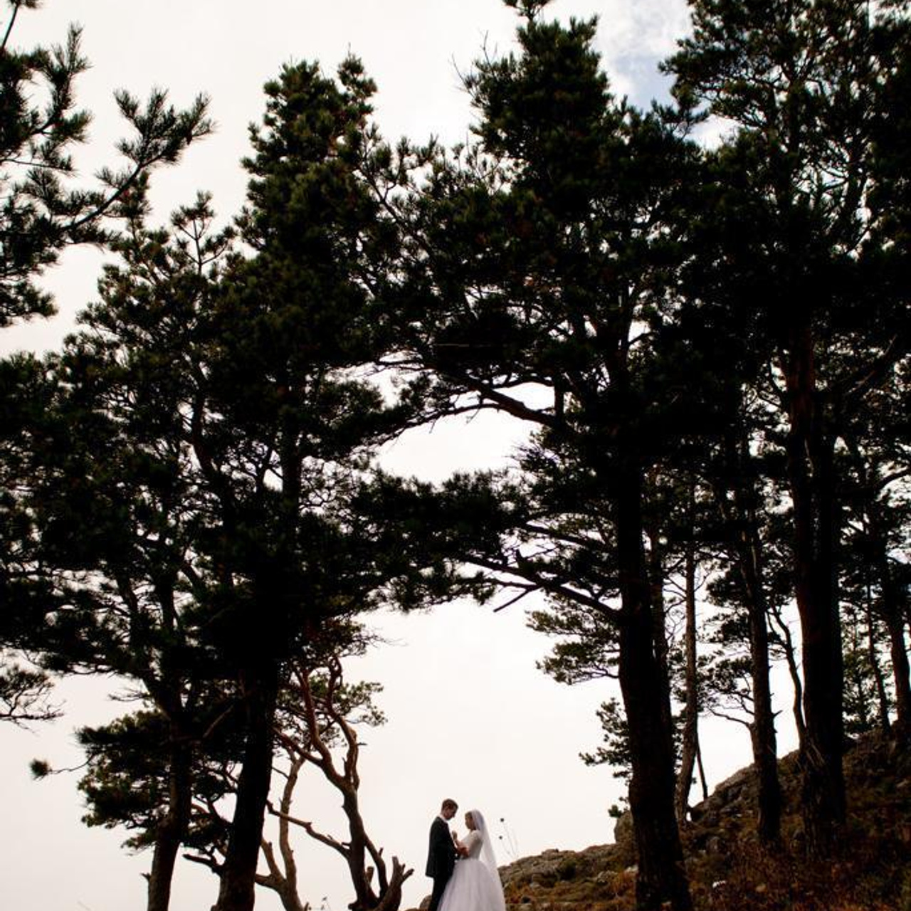 Отзывы. Фотограф Катрина Динкель