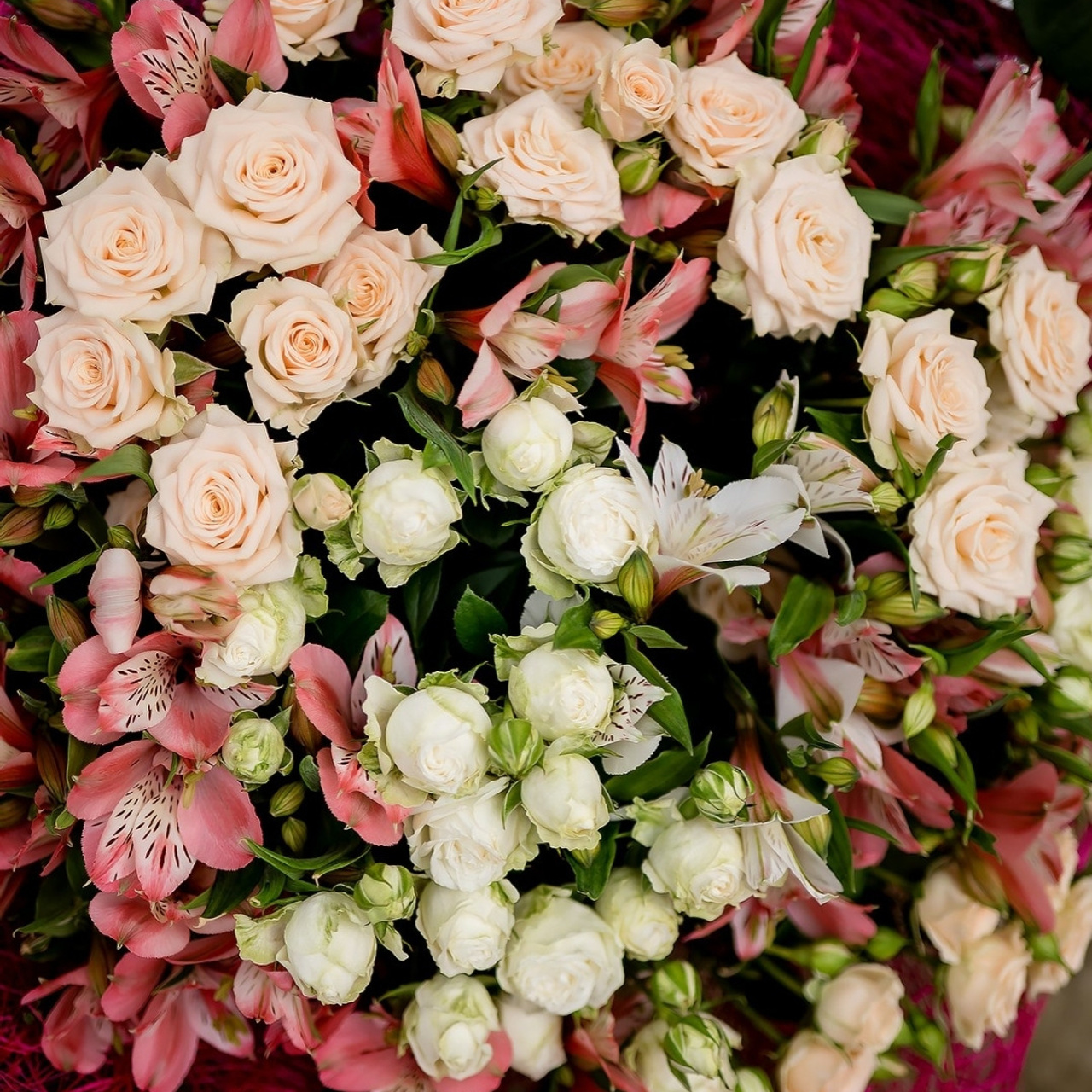 Отзывы. Фотограф Катрина Динкель