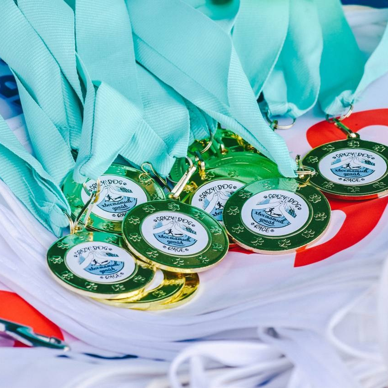 Хвостатый драйв 2019