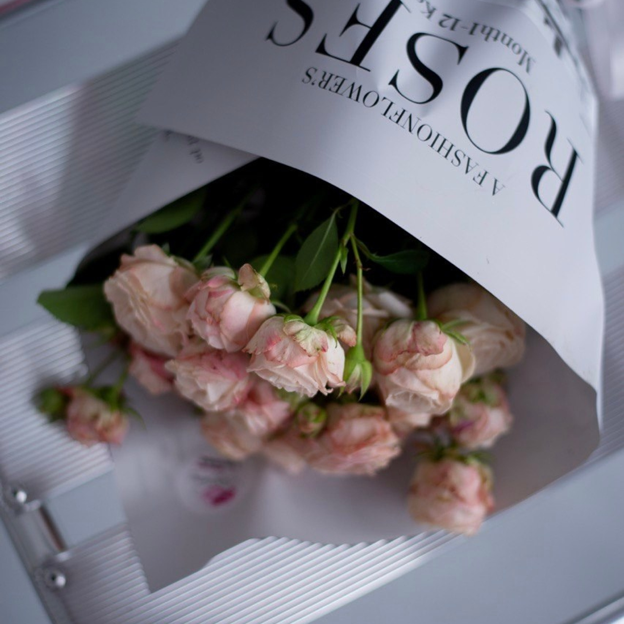 Отзывы. Дина — ваш фотограф в Коломне и Москве. Живые портреты, любимые люди, важные события. Всё, что хочется помнить