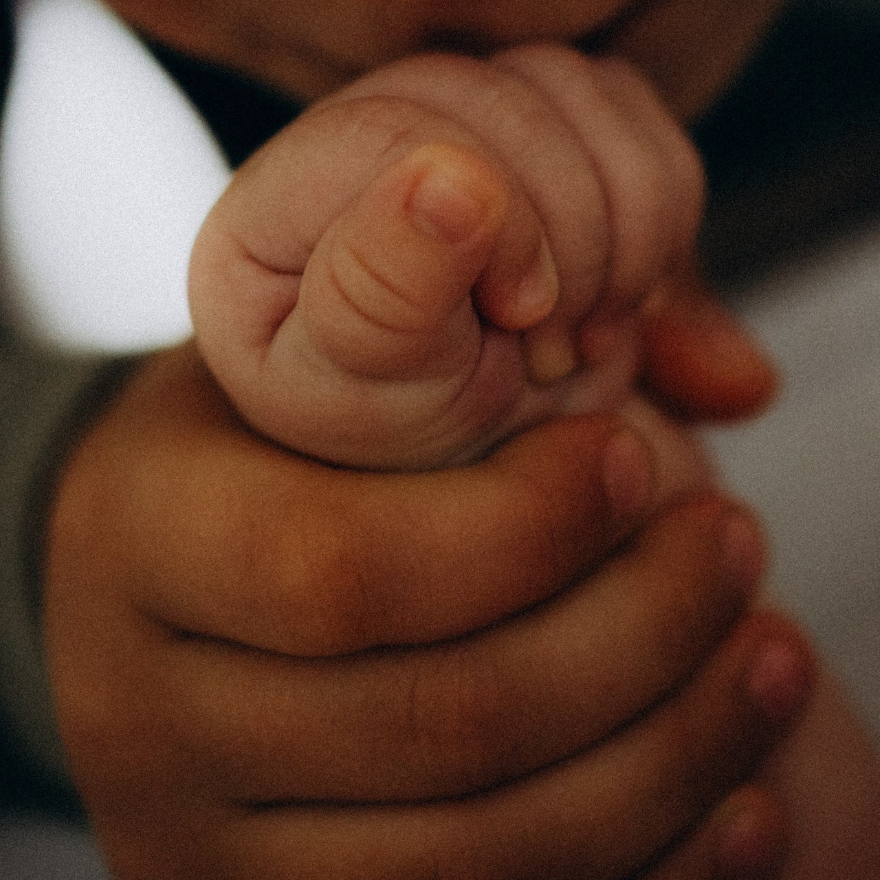 Отзывы. Семейный фотограф в Казани Татьяна Тюрина