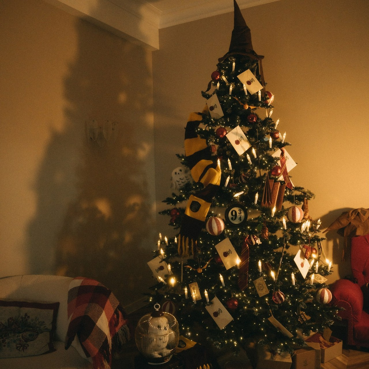 Отзывы. Свадебный и портретный фотограф в Дагестане