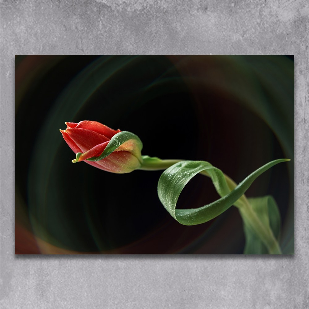 Infinity. Author’s fine art prints with international delivery