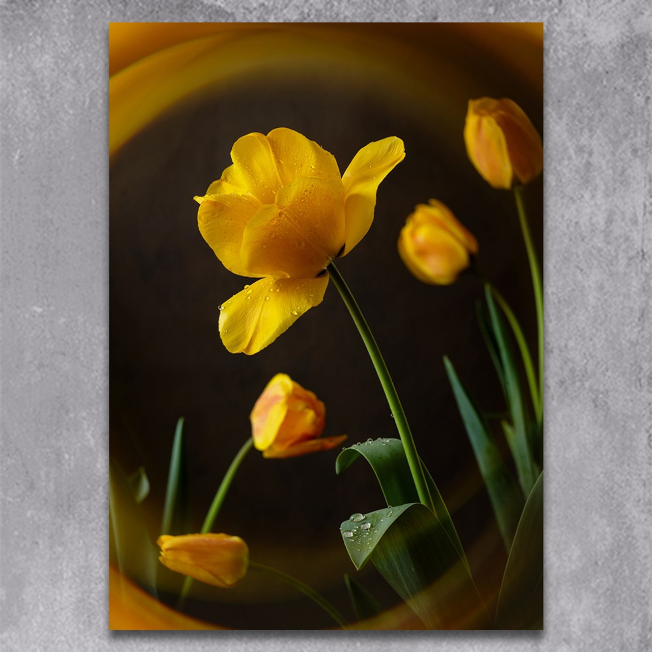 Sun Chorus. Author’s fine art prints with international delivery