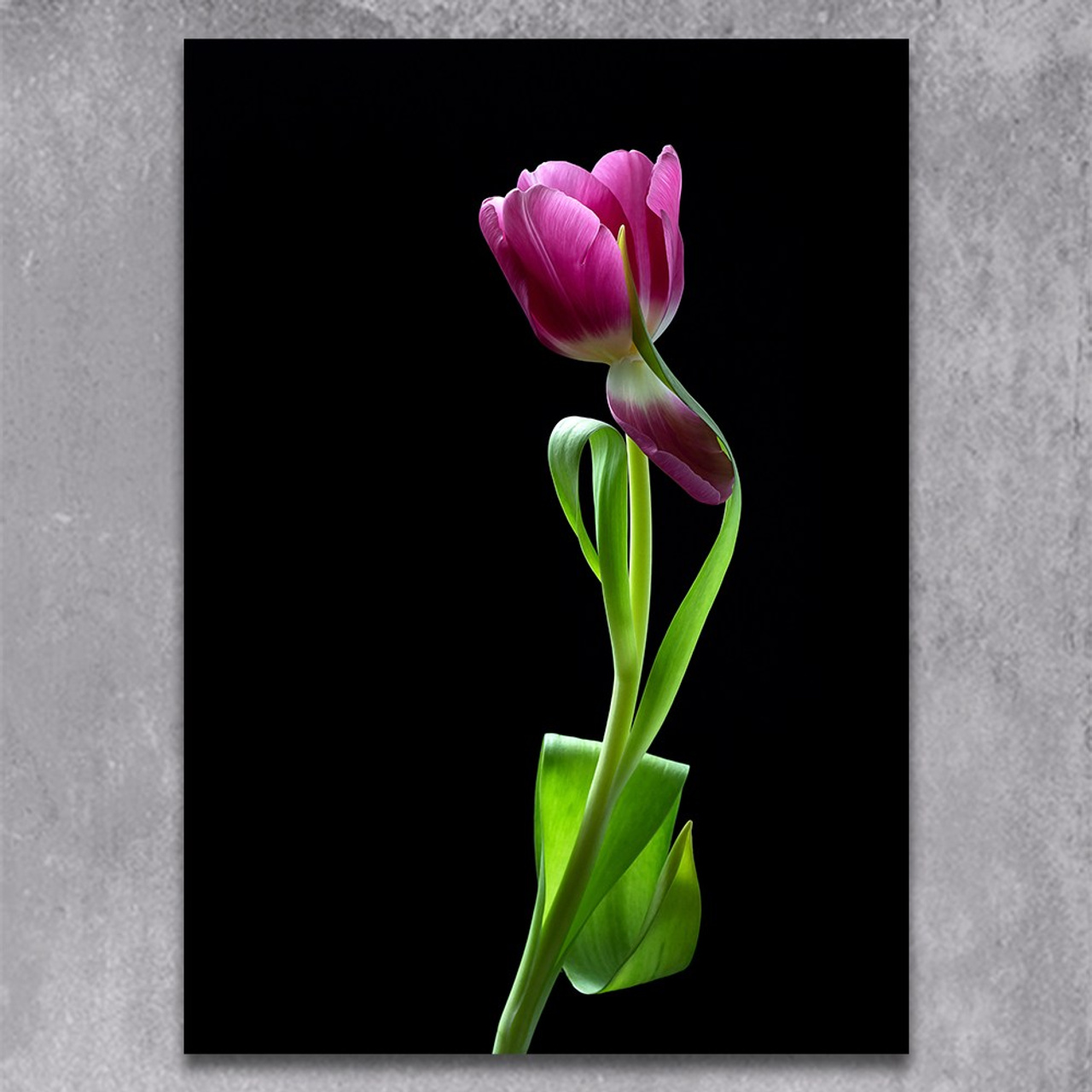 Shirin. Author’s fine art prints with international delivery