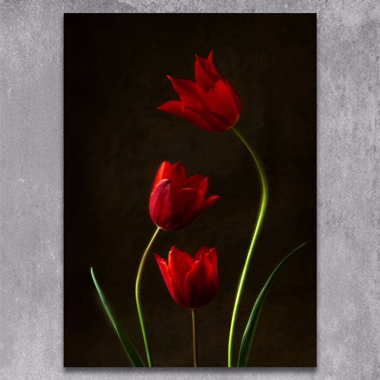 Pas de Trois. Author’s fine art prints with international delivery