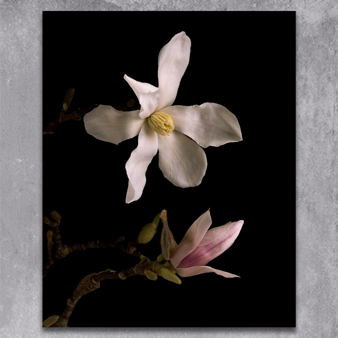 Pause Between. Author’s fine art prints with international delivery