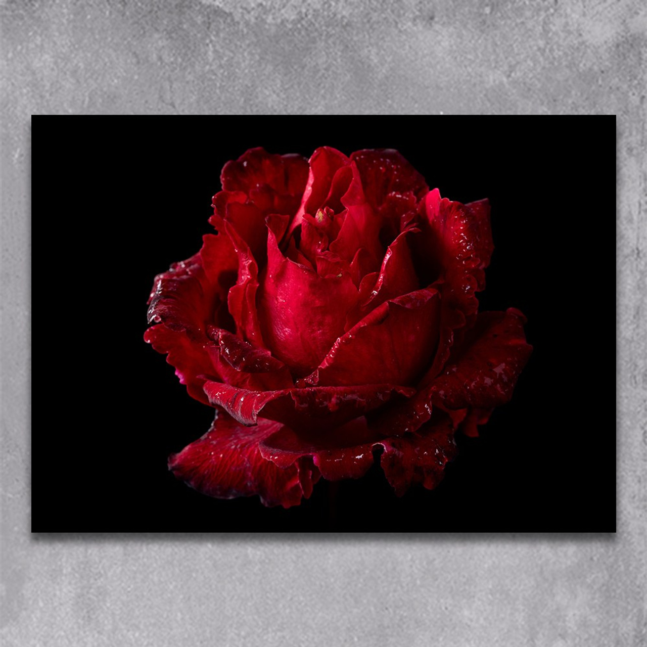 Queen of Flowers. Author’s fine art prints with international delivery