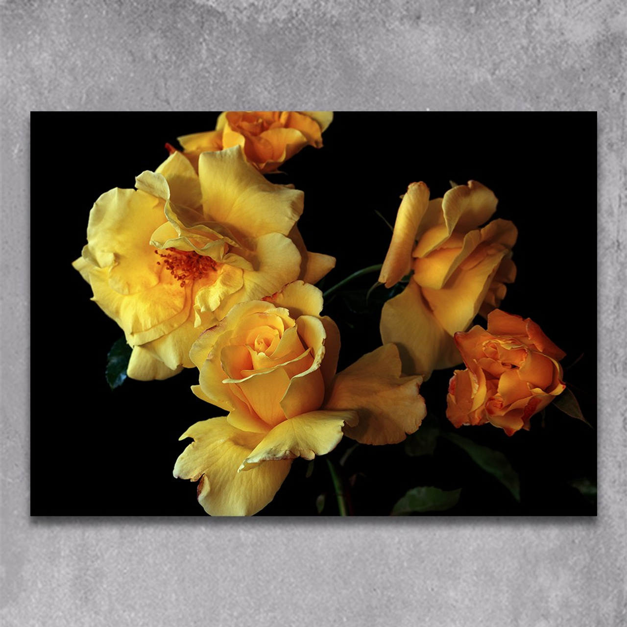 Yellow Queen. Author’s fine art prints with international delivery