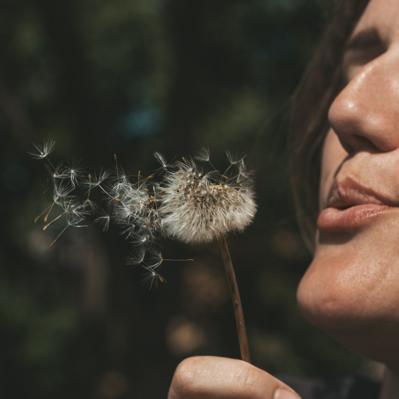 Отзывы. Главная