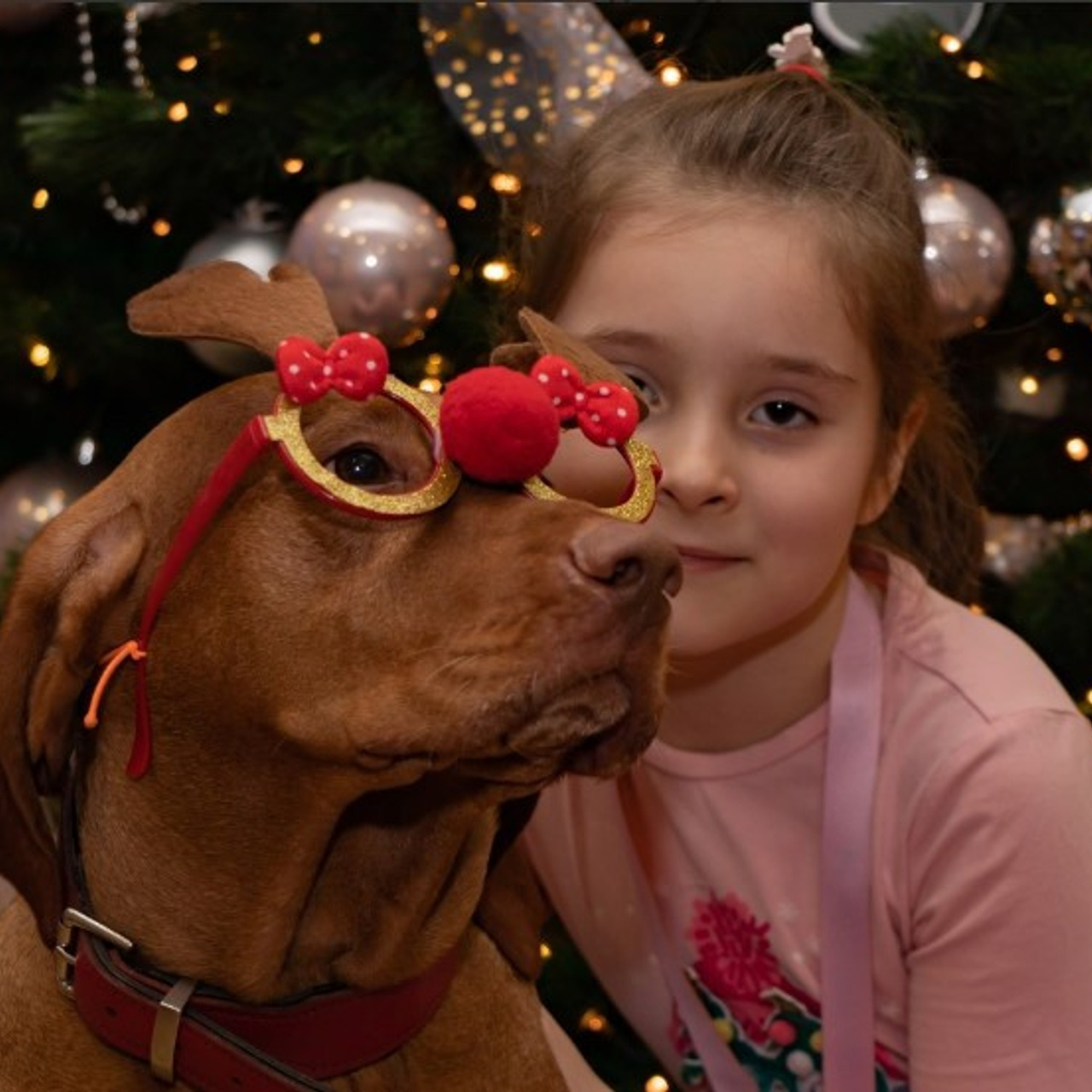 Фотограф в Раменском районе, фотостудия Раменское Жуковский. Лиза Кутанина — семейный фотограф и фотограф беременных в Жуковском