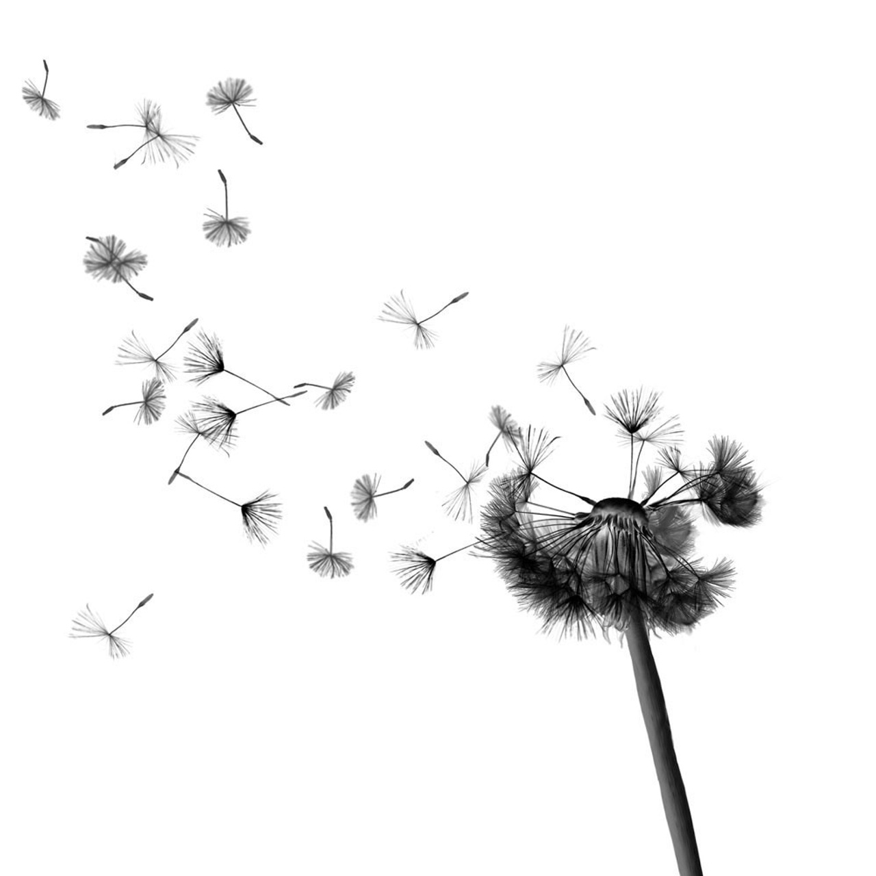 Отзывы. Детский и семейный фотограф Нижнего Новгорода и Москвы Олеся Ратникова