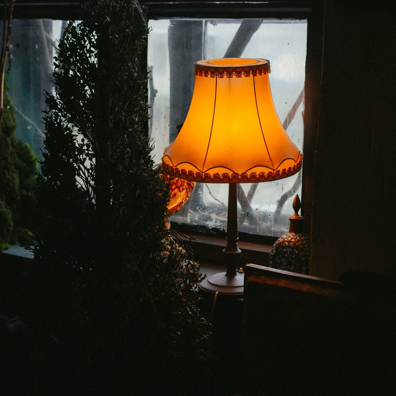 Отзывы о фотографе Александра Ангер. Александра Ангер — художественная фотография