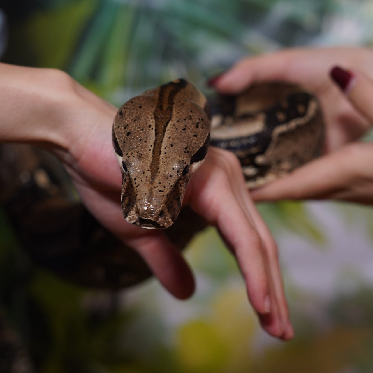 Отзывы. Семейный и детский фотограф в Саратове Акефьева Анна