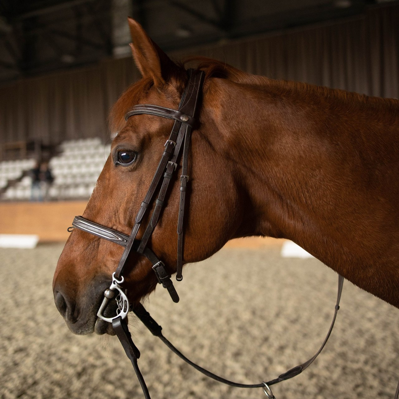 Отзывы. Главная