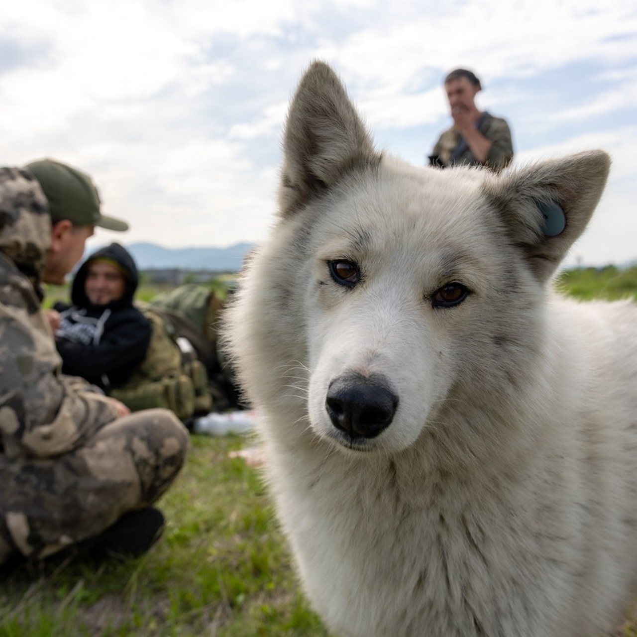 Отзывы про фотографа Алексея Никитина. Фотограф Алексей Никитин — портретная, репортажная и аэрофотосъёмка в Москве, России и Мире