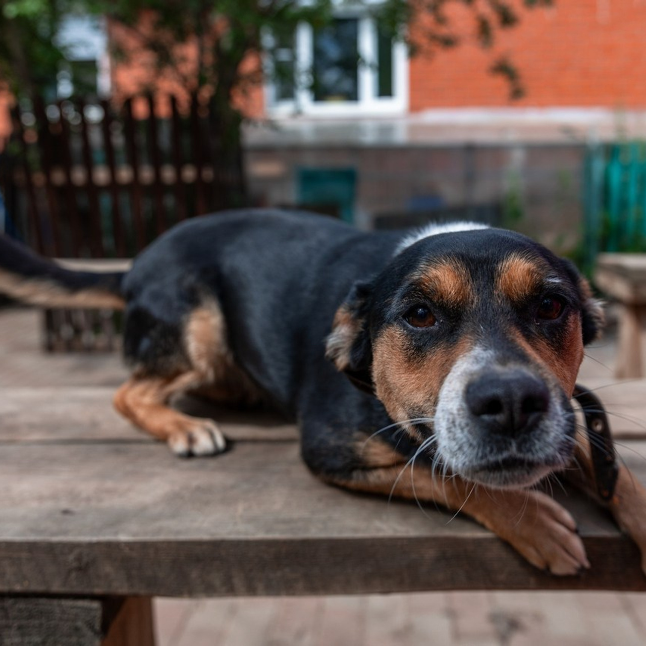 Отзывы про фотографа Алексея Никитина. Фотограф Алексей Никитин — портретная, репортажная и аэрофотосъёмка в Москве, России и Мире