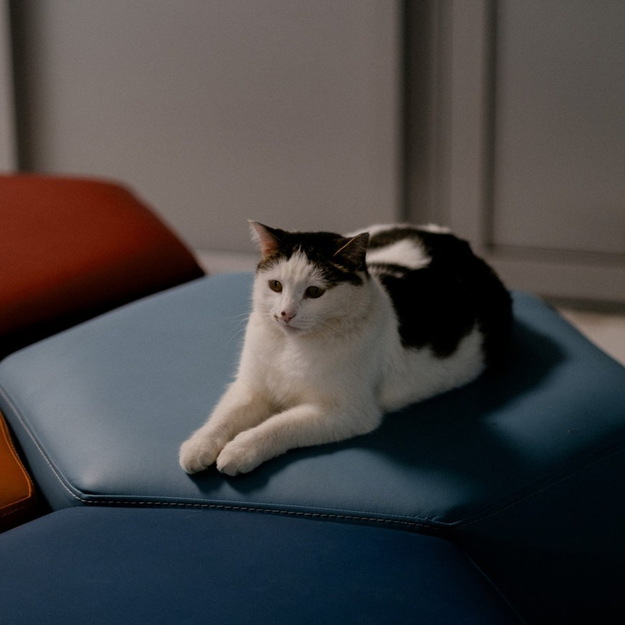 Отзывы. Свадебный и семейный фотограф в Казани и Зеленодольске Ланочкин Илья