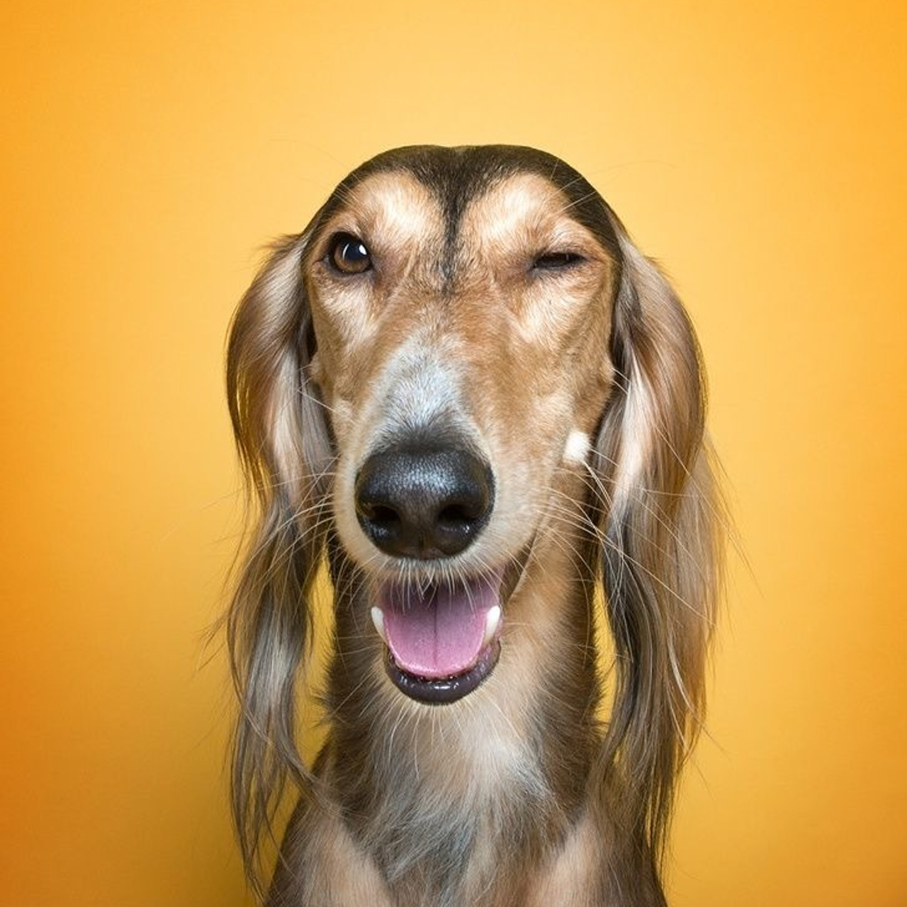 Отзывы. Профессиональный фотограф Барнаул Анастасия Фримал