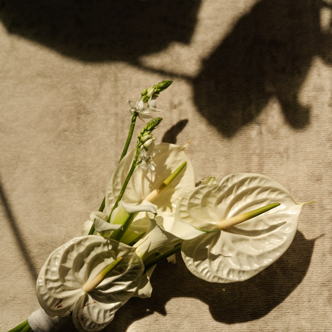 Отзывы. Главная