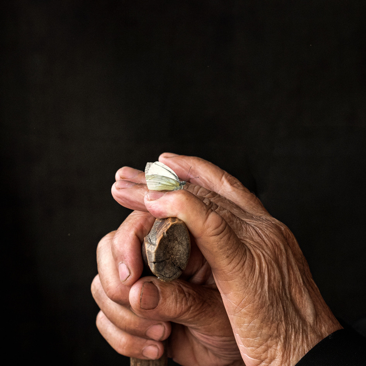 «Если бы мы могли поговорить»