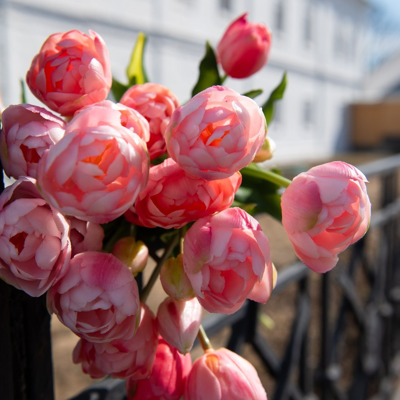 Отзывы. Фотограф самых запоминающихся моментов Вашей жизни