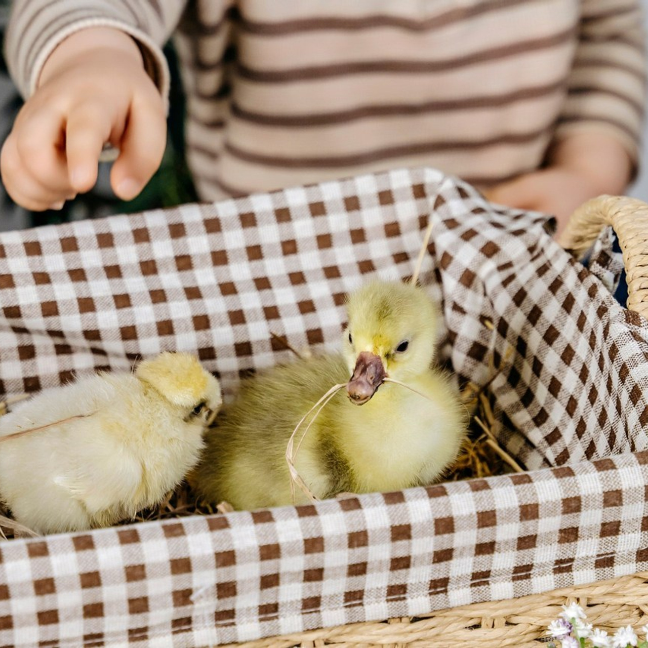 Отзывы. Фотограф самых запоминающихся моментов Вашей жизни