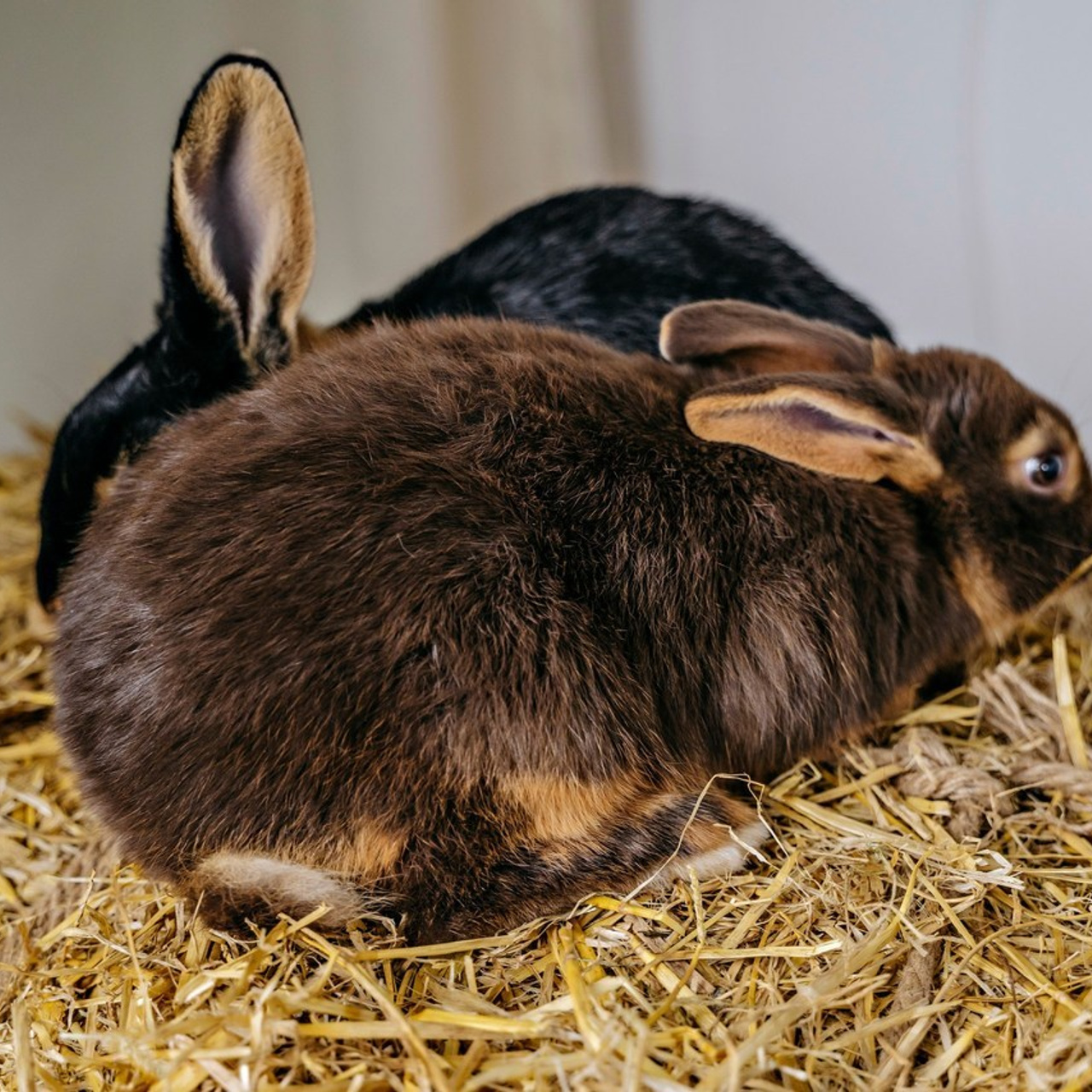 Отзывы. Фотограф самых запоминающихся моментов Вашей жизни