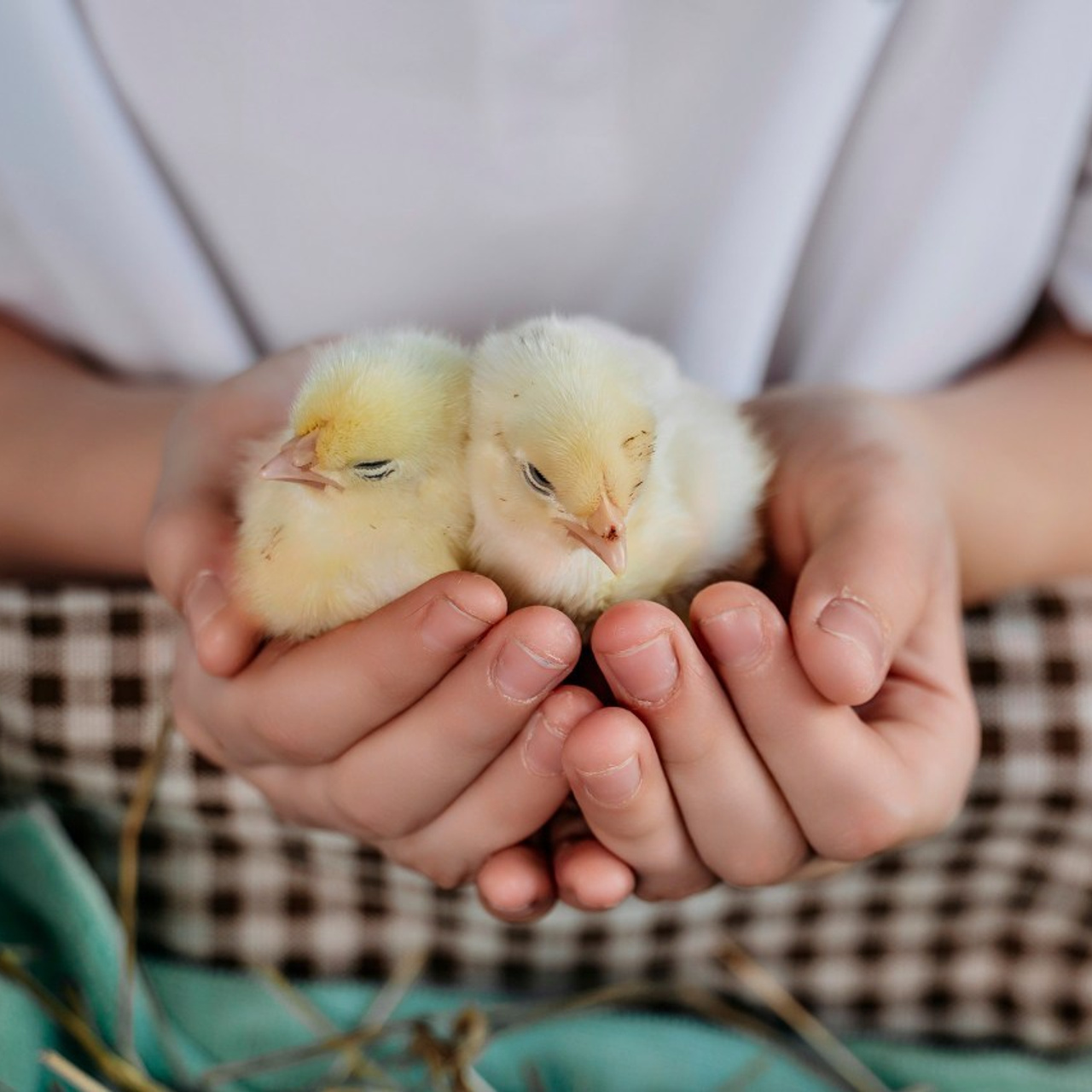 Отзывы. Фотограф самых запоминающихся моментов Вашей жизни