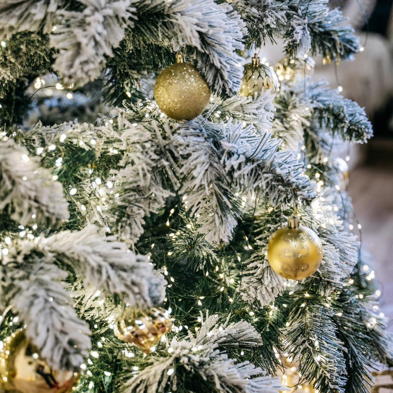 Отзывы. Фотограф самых запоминающихся моментов Вашей жизни