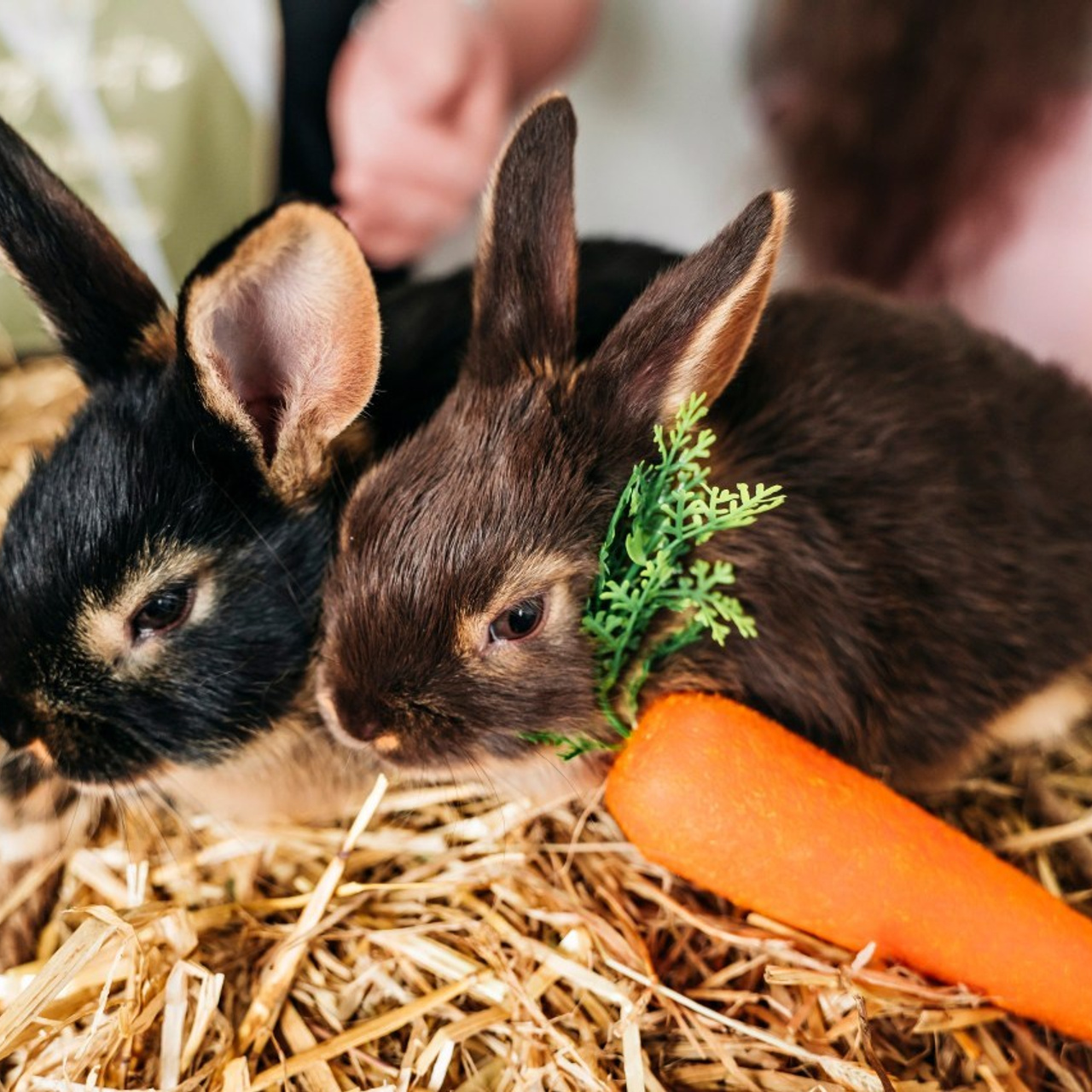 Отзывы. Фотограф самых запоминающихся моментов Вашей жизни