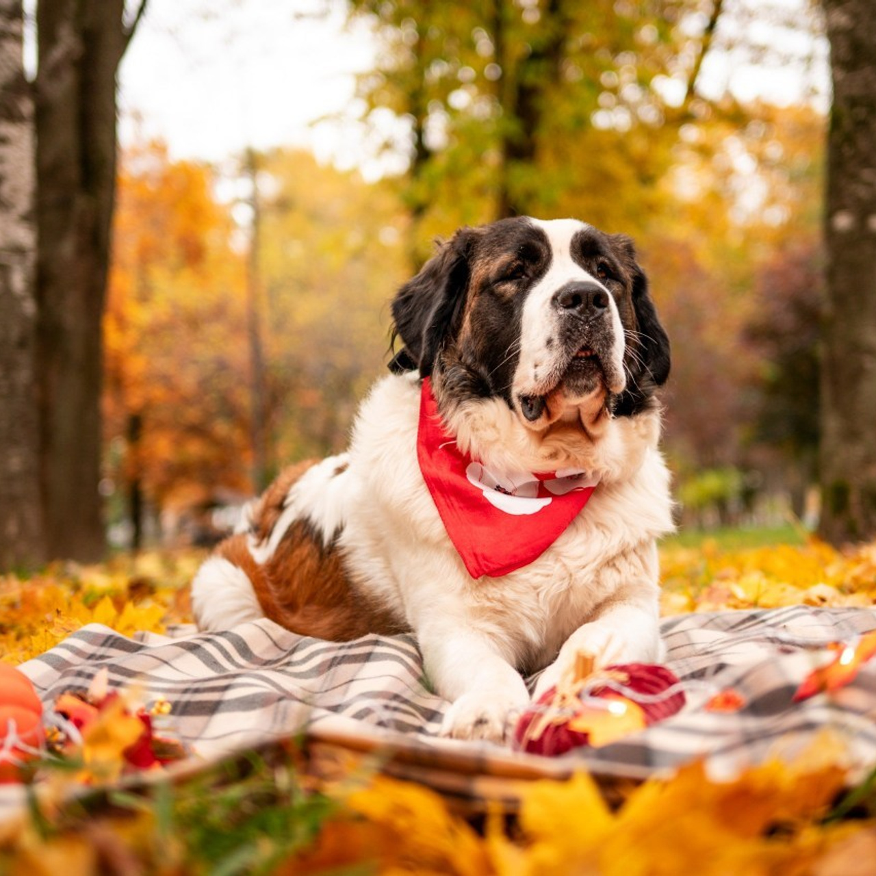 Отзывы. Фотограф самых запоминающихся моментов Вашей жизни