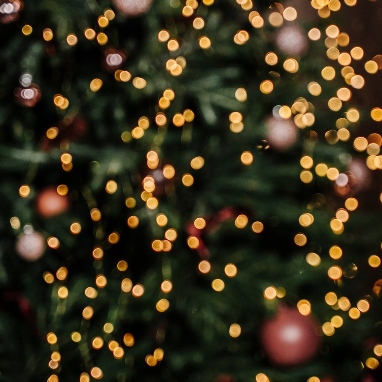 Отзывы. Фотограф самых запоминающихся моментов Вашей жизни