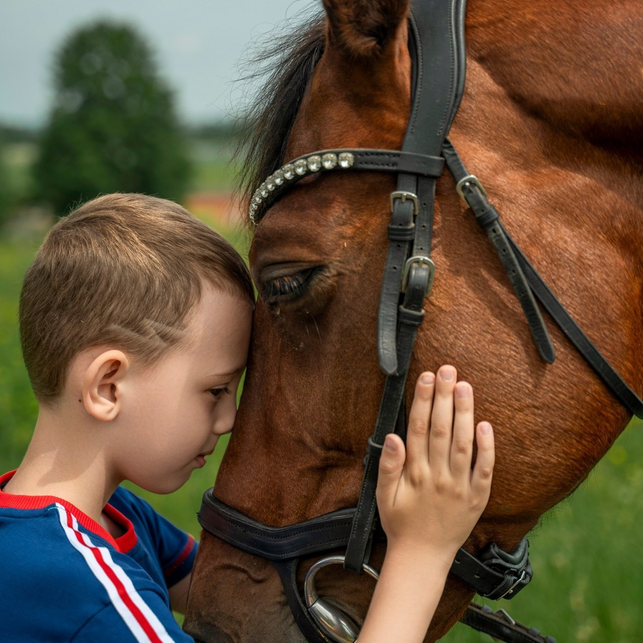 Отзывы. Фотограф самых запоминающихся моментов Вашей жизни