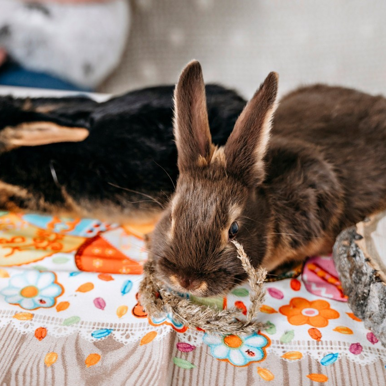 Отзывы. Фотограф самых запоминающихся моментов Вашей жизни