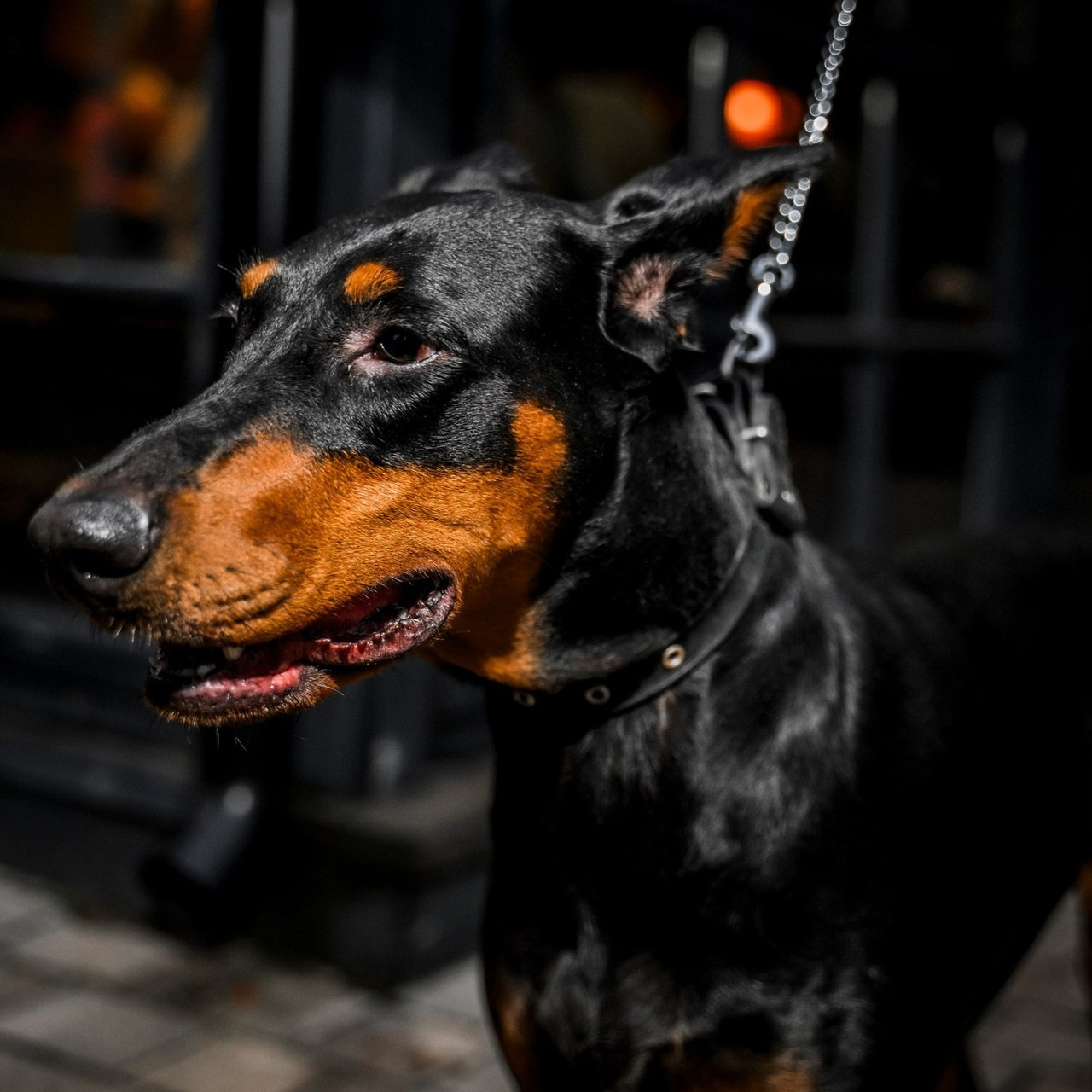 Отзывы. Фотограф самых запоминающихся моментов Вашей жизни