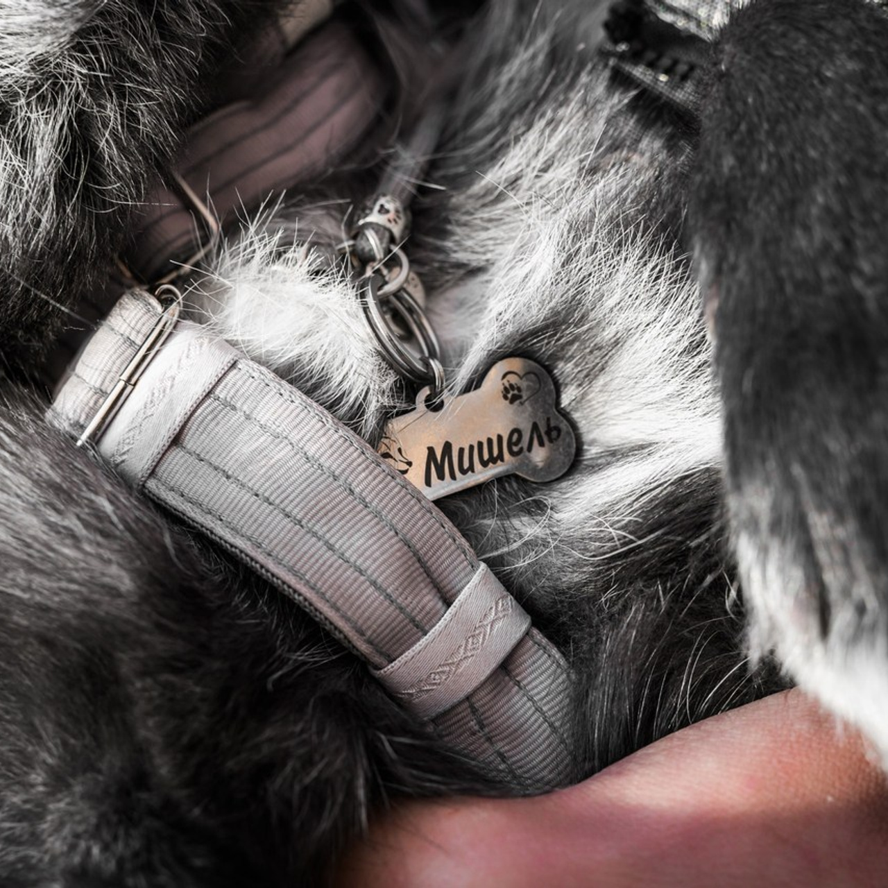 Отзывы. Фотограф самых запоминающихся моментов Вашей жизни