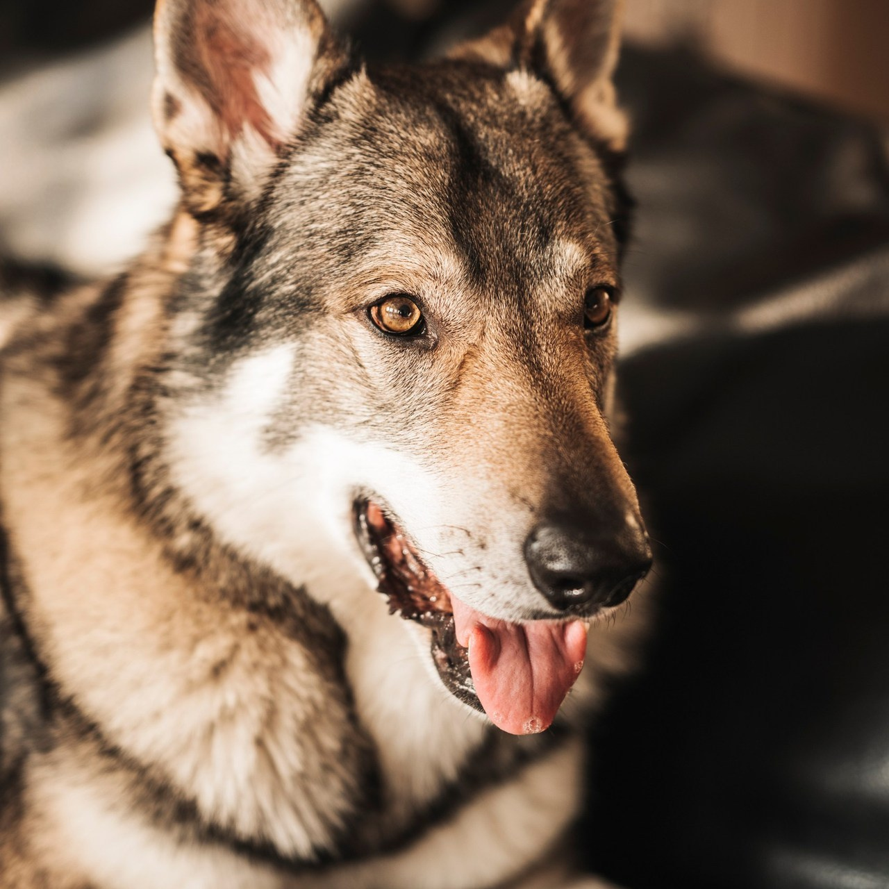 Отзывы. Фотограф самых запоминающихся моментов Вашей жизни