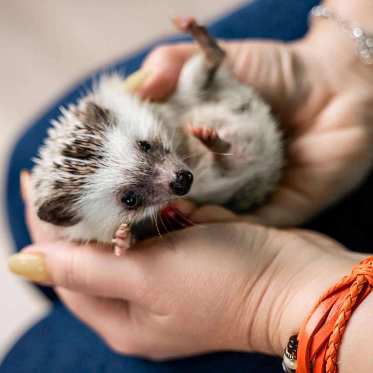 Отзывы. Фотограф самых запоминающихся моментов Вашей жизни