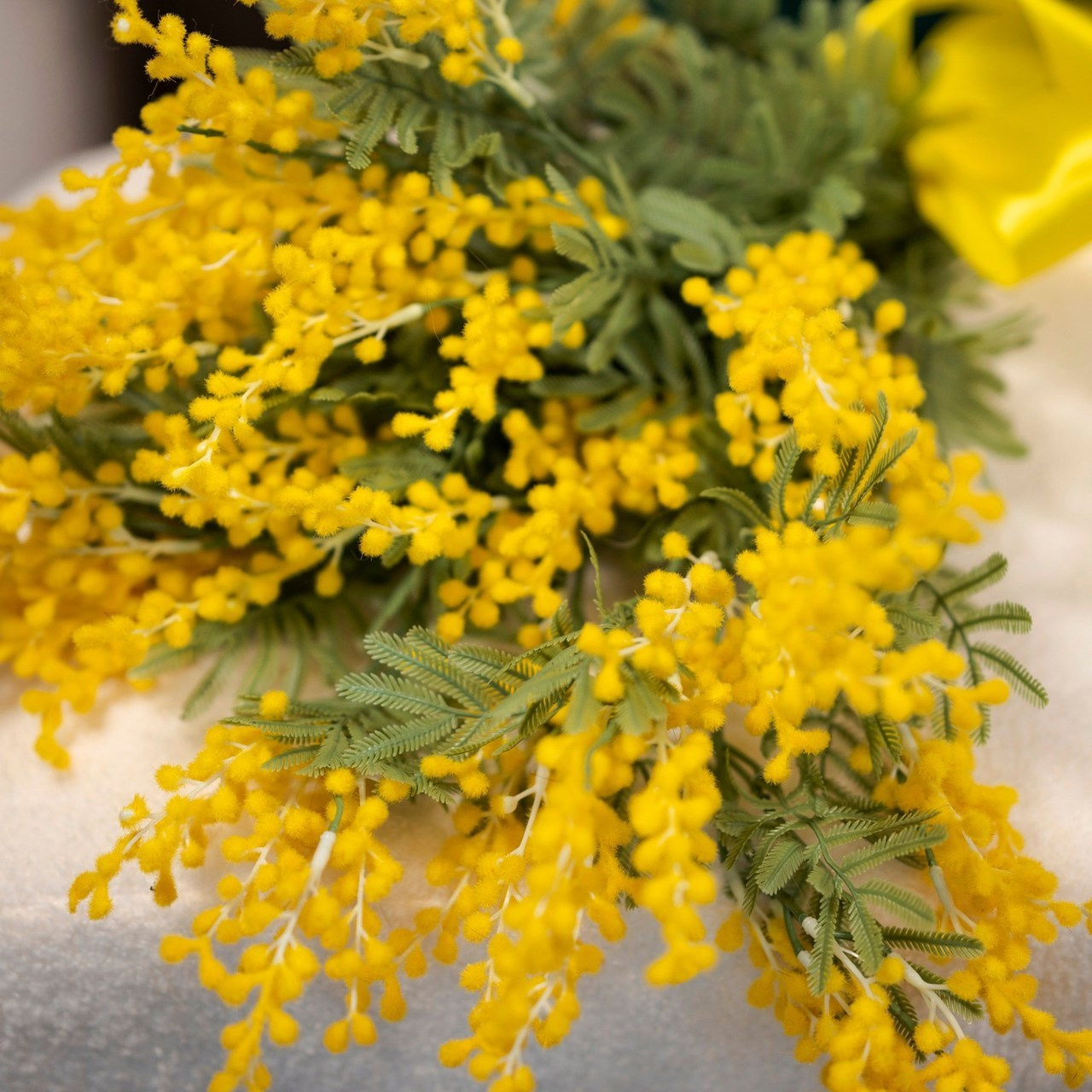 Отзывы. Фотограф самых запоминающихся моментов Вашей жизни