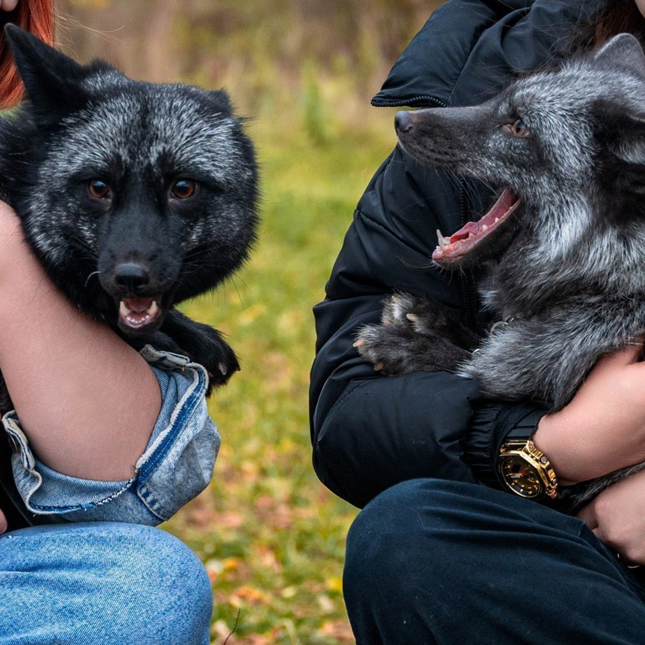 Отзывы. Фотограф самых запоминающихся моментов Вашей жизни