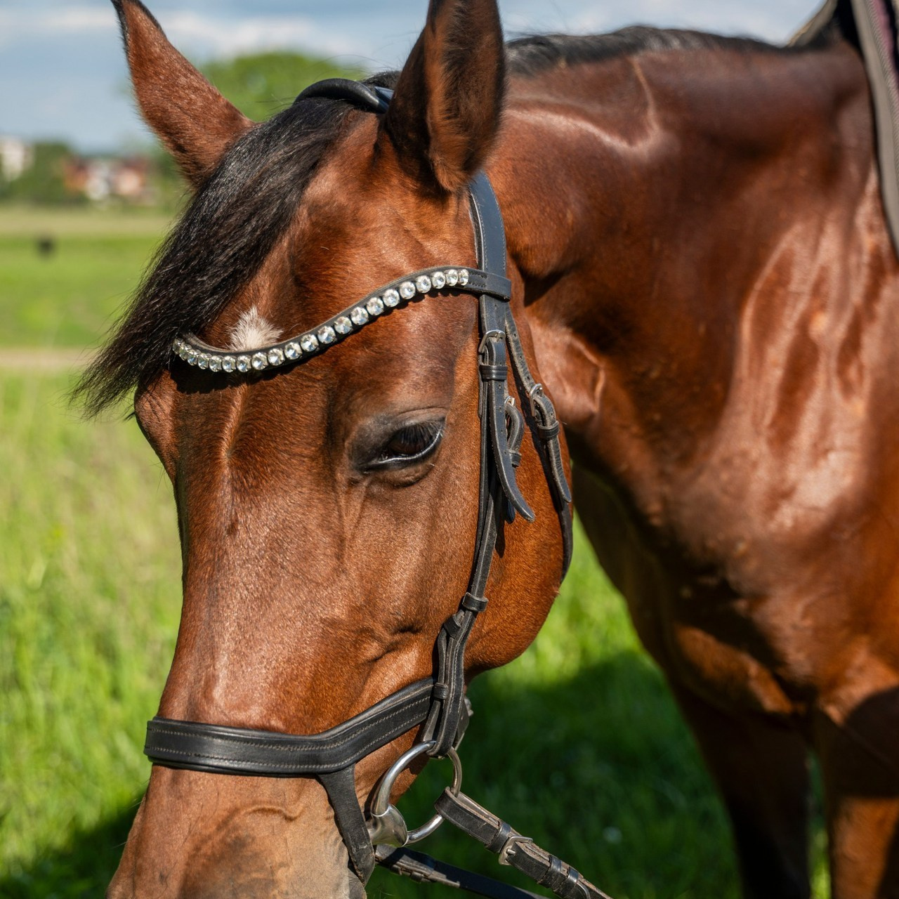 Отзывы. Фотограф самых запоминающихся моментов Вашей жизни